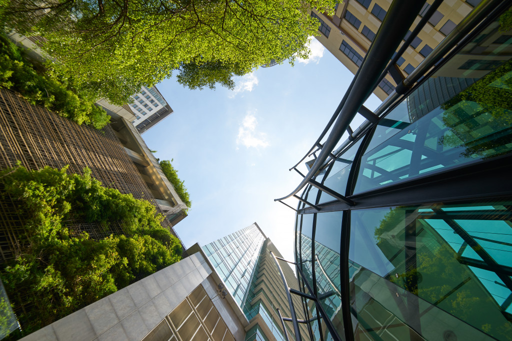 plants in the sides of a building